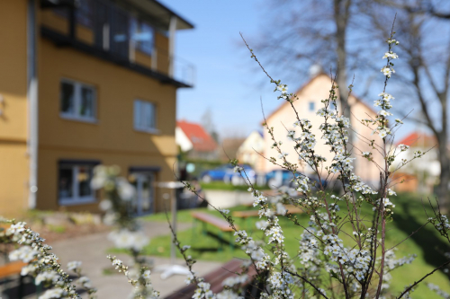 Bild 07